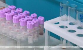 Число предположительных случаев заражения вирусом Эбола в ДР Конго превысило 900 | Новости Беларуси | БелТА