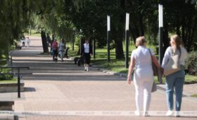 Почти четверть пенсионеров в Беларуси продолжают работать после выхода на пенсию 