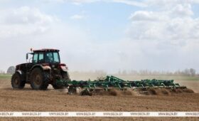 Почти все области Беларуси закончили сев кукурузы на зерно