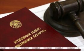 Выращивал грибы на кухне — стал фигурантом уголовного дела. Рассказываем, за что можно получить срок