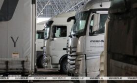 Правительство утвердило порядок использования тарифной льготы на ввоз в Беларусь мяса КРС в 2026 году 