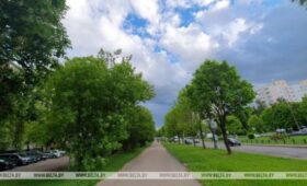 Оранжевый уровень опасности из-за сильного ветра объявлен в Беларуси на 29 мая