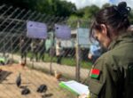Минприроды проверило условия содержания диких животных в «Дукорском маентке»