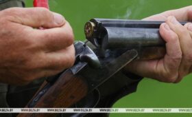 Сколько видов охотничьих животных насчитывается сегодня в Беларуси, рассказали в Минлесхозе