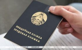 В полях, больницах и даже на строительстве моста. Рассказываем, где студенты могут подработать летом