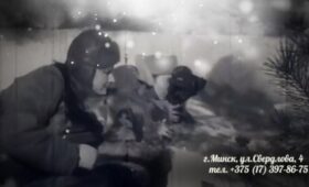 «Две судьбы — одна кинокамера». Выставка о женщинах-кинохроникерах ВОВ открылась в Минске