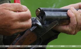 Сезон охоты на косулю и оленя пятнистого открылся в Беларуси