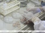 Белорусские ученые разработали препарат для борьбы с раком легких
