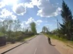 Подросток попал под колеса грузовика в Климовичах