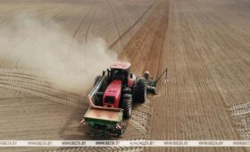 В Беларуси посеяно 67% яровых культур