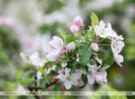 До +27°С, местами грозы. Синоптики рассказали о погоде на 24 мая 