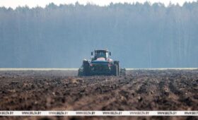 Минсельхозпрод: основная фаза посевной кампании в Беларуси успешно завершается