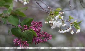 Почти лето. В воскресенье синоптики обещают до +26°С