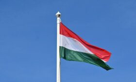 Новое правительство Венгрии не намерено участвовать в поставках вооружений Украине
 | Новости Беларуси | БелТА