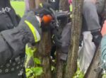 В Минском районе 8-летний мальчик застрял на дереве, потребовалась помощь спасателей 