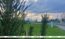 Где в Беларуси сегодня будет теплее всего? Ответили синоптики