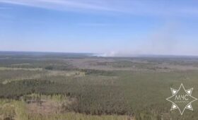 Авиация МЧС привлечена для тушения лесного пожара в Гродненской области