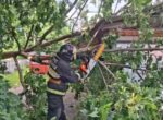 Спасатели ликвидировали последствия непогоды в Беларуси