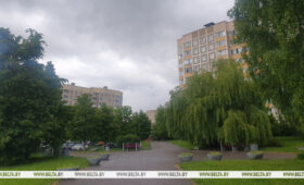 В каком регионе Беларуси будет теплее всего 31 мая, рассказали синоптики