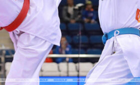 На чемпионате Европы по тхэквондо в Германии выступят 12 белорусов