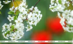 Строить ли планы на пикник 16 мая? Синоптики дали прогноз