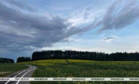 Где воздух прогреется до +25°С, а где 12 мая выпадет град, рассказали синоптики