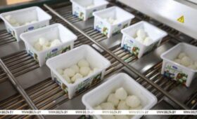 Новые позиции и рабочие места. Цех по производству сыра моцарелла открыли на предприятии в Щучине