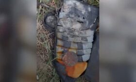 ФСБ России предотвратила теракт в Ленинградской области на газовозе, прибывшем из Бельгии
 | Новости Беларуси | БелТА