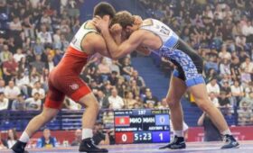 Чемпионы Беларуси по вольной борьбе определились в Витебске