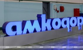 Венесуэла заинтересована в развитии сотрудничества с холдингом «АМКОДОР» 