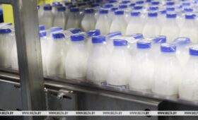 Минсельхозпрод: значительная доля экспорта белорусской сельхозпродукции приходится на страны ШОС