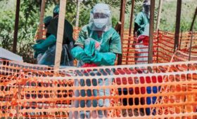 Число подтвержденных случаев заболевания лихорадкой Эбола в ДР Конго возросло до 282
 | Новости Беларуси | БелТА