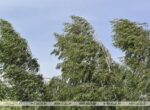 Почему в Беларуси образуются пылевые бури и как защитить поля от ветровой эрозии, рассказал ученый
