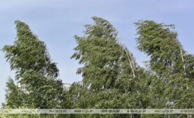 Почему в Беларуси образуются пылевые бури и как защитить поля от ветровой эрозии, рассказал ученый