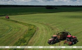 Первый укос трав проведен на 71% запланированных площадей в Беларуси