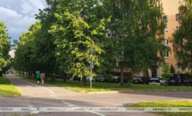 До +25°С. Где в Беларуси будет теплее всего