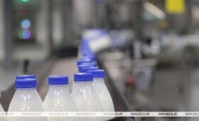 Мнение: белорусская молочная отрасль стоит на пороге качественного перехода