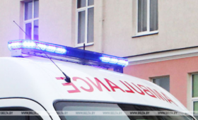 Семь баскетболистов погибли в результате автокатастрофы в Бразилии | Новости Беларуси | БелТА