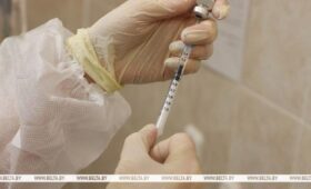 В Беларуси около 6 тыс. человек вакцинировались против клещевого энцефалита