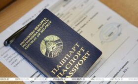Стало известно, когда появятся результаты ЦТ по профильным предметам