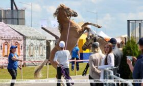 Грация и стать. На выставке «Белагро» в Минске выбрали лучшую племенную лошадь