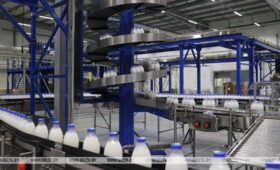 Производство сельхозпродукции в Беларуси в январе-мае увеличилось на 4,3%