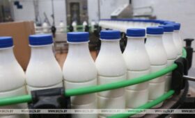 Белорусская молочная продукция начала поставляться в Индонезию через биржу