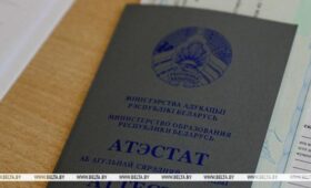 Можно ли подать документы в вуз на несколько специальностей сразу? Ответили в Минобразования