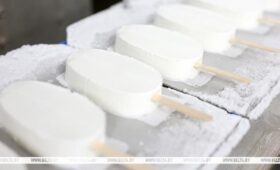 Безлактозное мороженое, закваски для сыров. Над какими новинками работают в молочной отрасли Беларуси