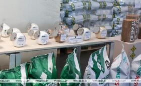Правительство утвердило порядок формирования и ведения реестра производителей кормов и кормовых добавок
