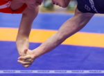Главный старт внутреннего сезона. Витебск примет чемпионат Беларуси по борьбе 