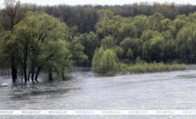 Белгидромет: весеннее половодье прошло сравнительно спокойно